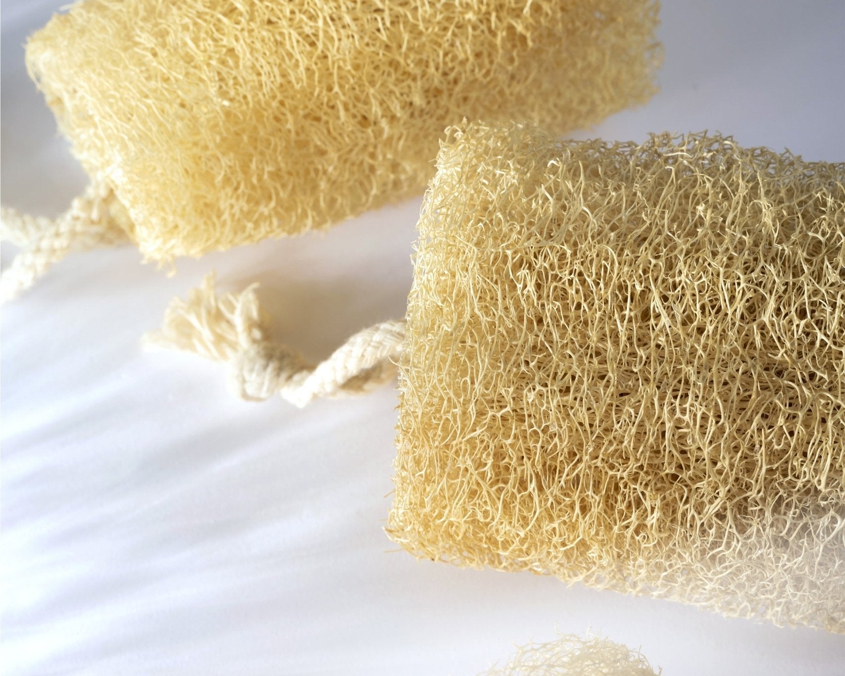 Loofah Schwamm - Casa Refill GmbH