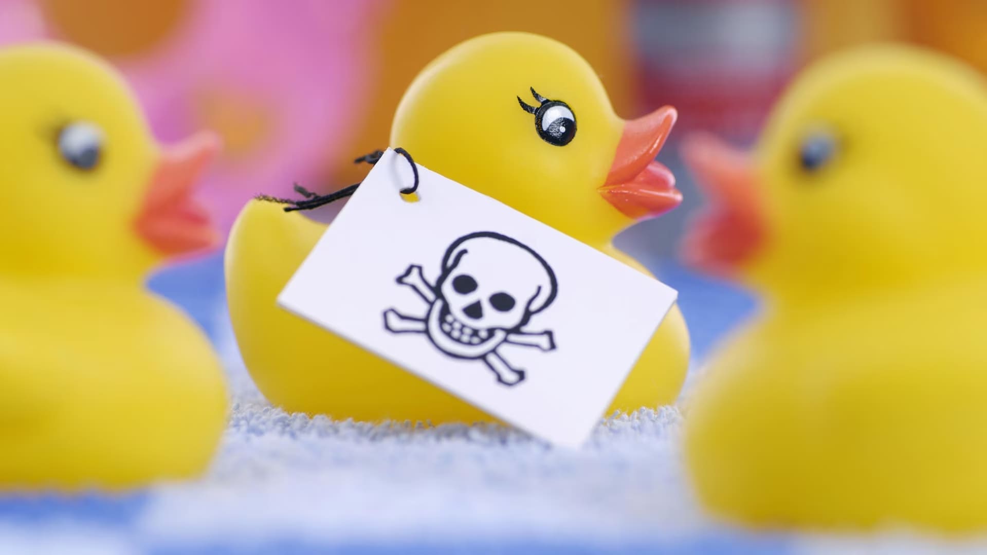 Die versteckte Gefahr: Phthalate und ihre Auswirkungen auf unsere Gesundheit - Casa Refill GmbH