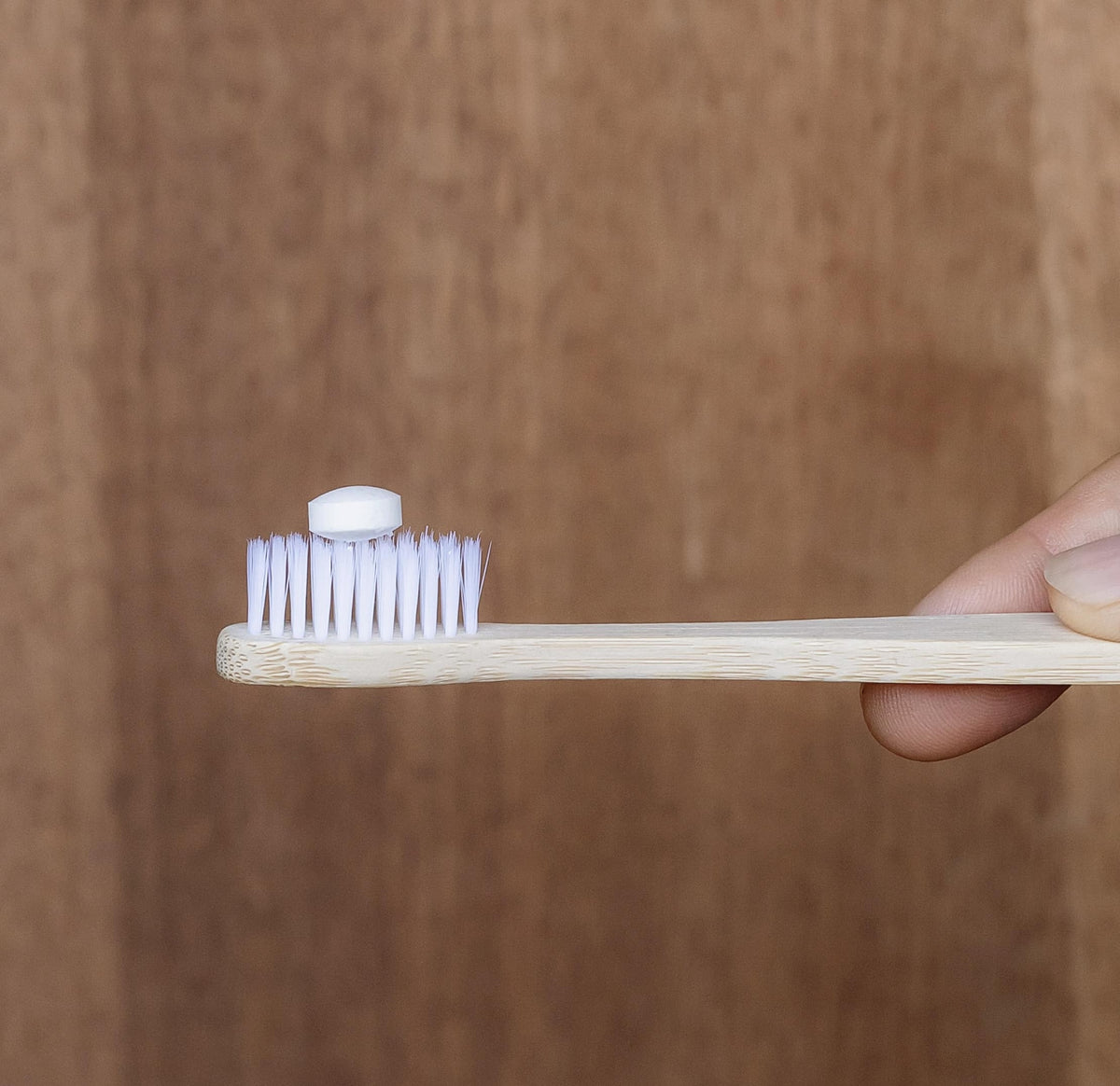Toothbrush set with bamboo holder
