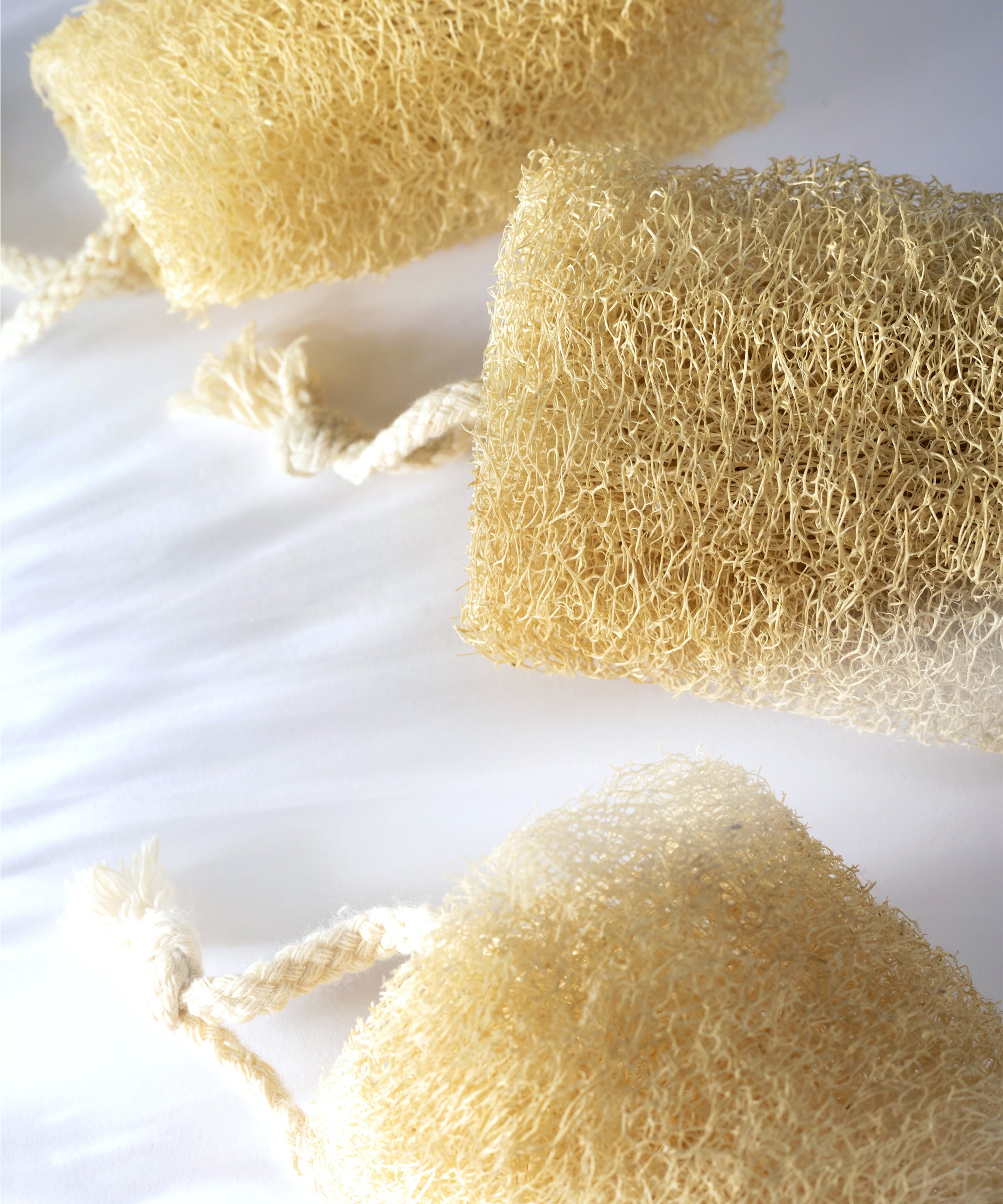 Loofah sponge