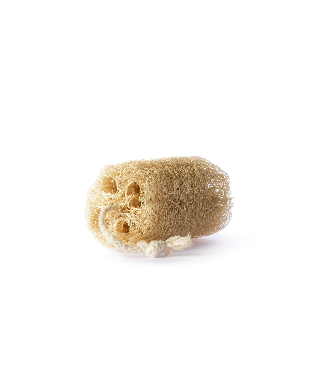 Loofah sponge